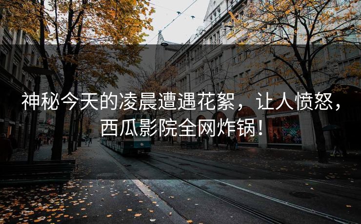 神秘今天的凌晨遭遇花絮,让人愤怒,西瓜影院全网炸锅! 神秘今天的凌晨遭遇花絮,让人愤怒,西瓜影院全网炸锅!
