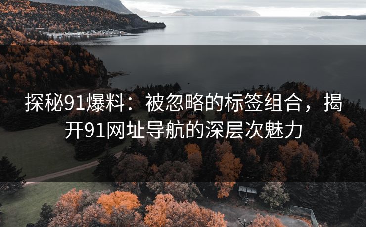 探秘91爆料：被忽略的标签组合，揭开91网址导航的深层次魅力