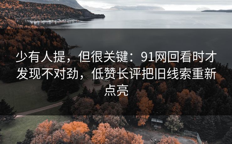 少有人提，但很关键：91网回看时才发现不对劲，低赞长评把旧线索重新点亮