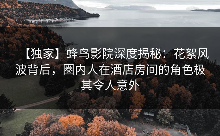 【独家】蜂鸟影院深度揭秘：花絮风波背后，圈内人在酒店房间的角色极其令人意外