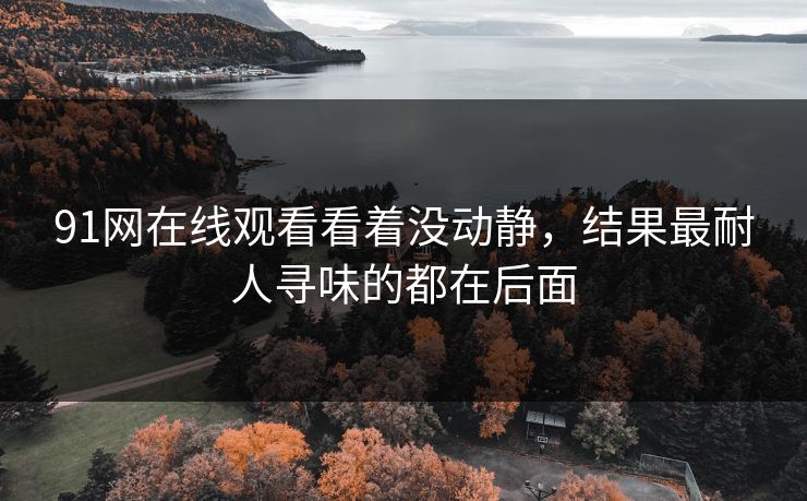 91网在线观看看着没动静，结果最耐人寻味的都在后面